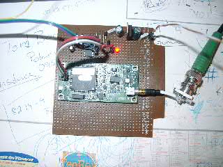 bolmen2004